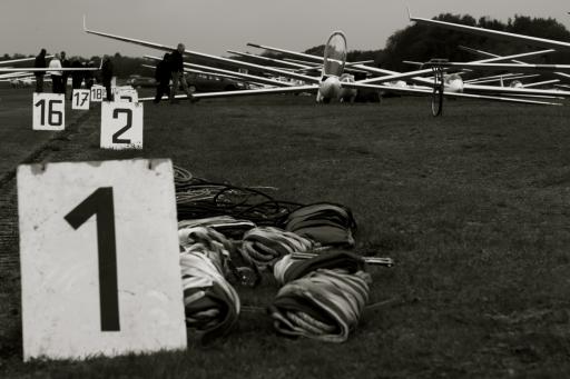 87  Starting grid
